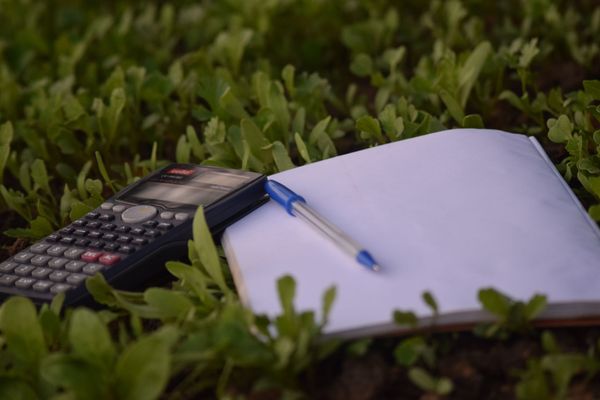 How many pages? SpeedCurve synthetic check budget calculator